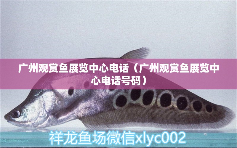 廣州觀賞魚(yú)展覽中心電話（廣州觀賞魚(yú)展覽中心電話號(hào)碼）