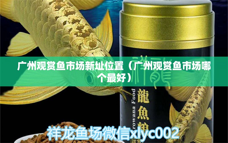 廣州觀賞魚市場新址位置（廣州觀賞魚市場哪個最好）