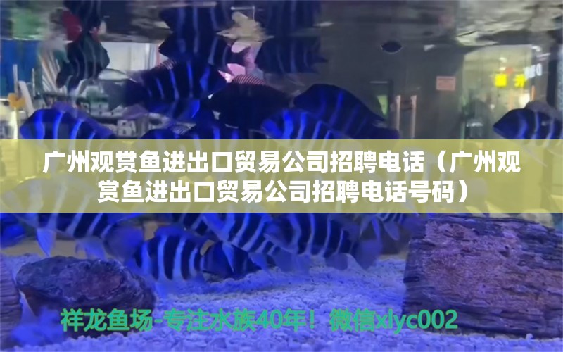 廣州觀賞魚進出口貿(mào)易公司招聘電話（廣州觀賞魚進出口貿(mào)易公司招聘電話號碼）