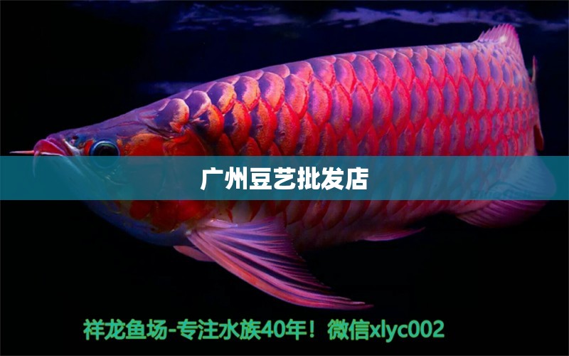 廣州豆藝批發(fā)店 全國(guó)水族館企業(yè)名錄