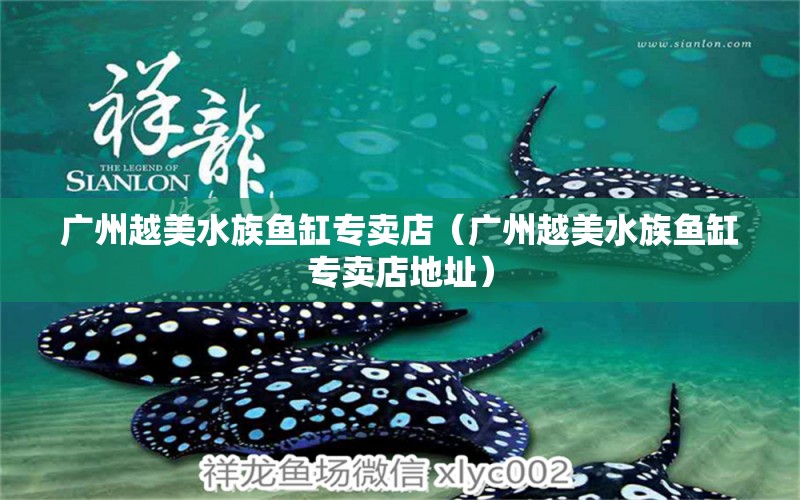 廣州越美水族魚(yú)缸專(zhuān)賣(mài)店（廣州越美水族魚(yú)缸專(zhuān)賣(mài)店地址）