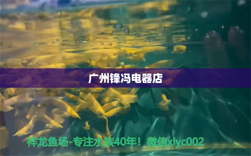 廣州鋒馮電器店 全國(guó)水族館企業(yè)名錄