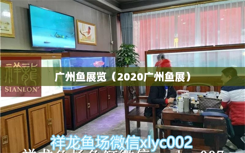 廣州魚展覽（2020廣州魚展）