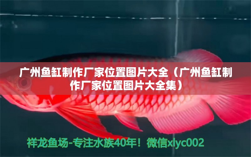 廣州魚缸制作廠家位置圖片大全（廣州魚缸制作廠家位置圖片大全集）