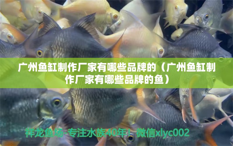 廣州魚缸制作廠家有哪些品牌的（廣州魚缸制作廠家有哪些品牌的魚）