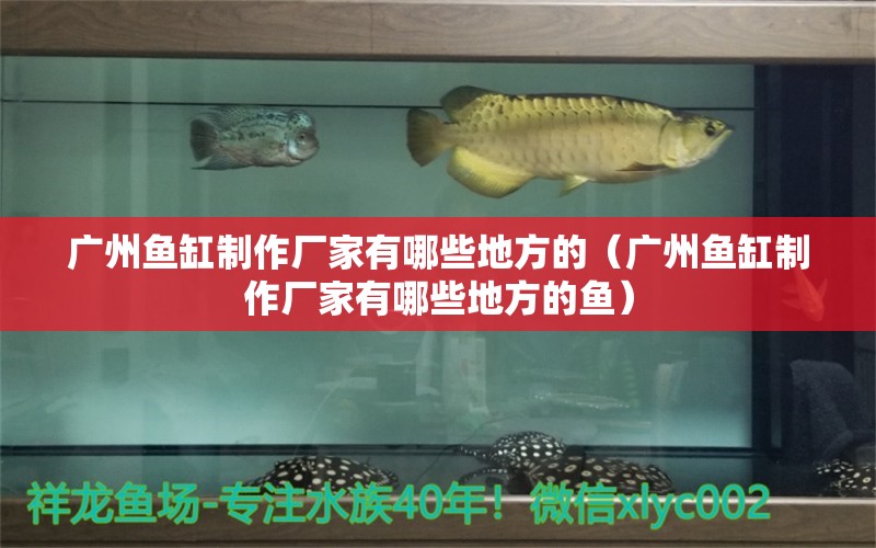 廣州魚缸制作廠家有哪些地方的（廣州魚缸制作廠家有哪些地方的魚） 觀賞魚市場(chǎng)（混養(yǎng)魚）