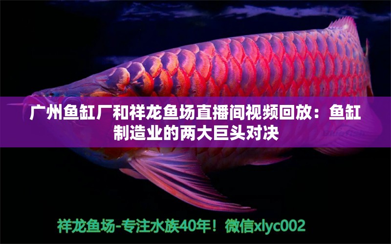 廣州魚缸廠和祥龍魚場直播間視頻回放：魚缸制造業(yè)的兩大巨頭對決