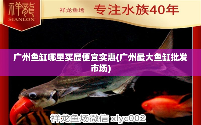 廣州魚缸哪里買最便宜實(shí)惠(廣州最大魚缸批發(fā)市場) 粗線銀版魚