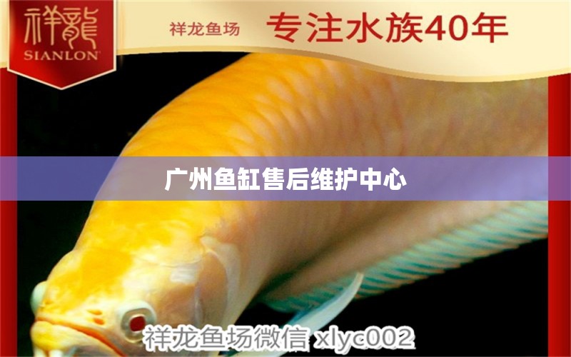 廣州魚缸售后維護(hù)中心 其他品牌魚缸