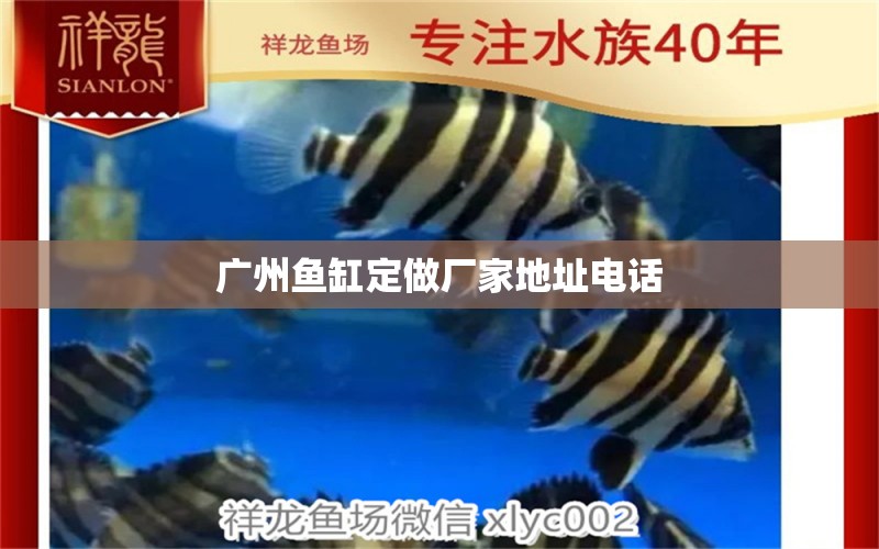 廣州魚(yú)缸定做廠家地址電話