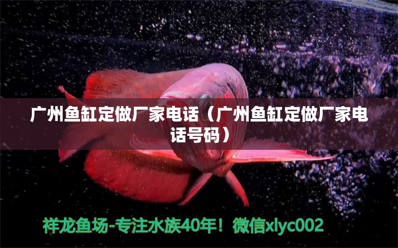 廣州魚(yú)缸定做廠家電話（廣州魚(yú)缸定做廠家電話號(hào)碼）