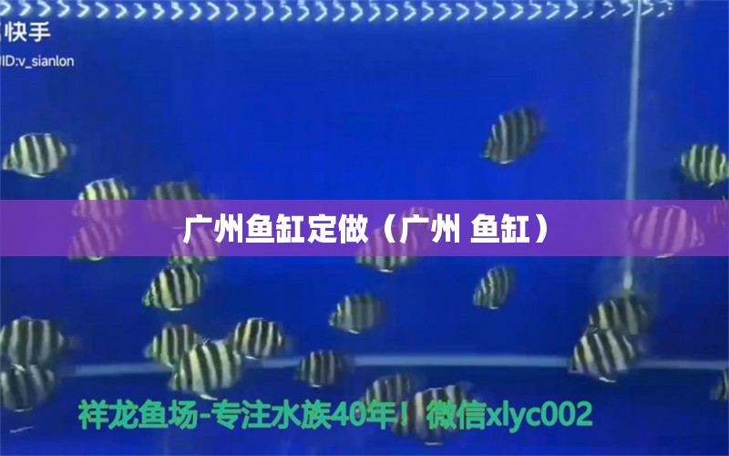 廣州魚(yú)缸定做（廣州 魚(yú)缸） 廣州觀賞魚(yú)批發(fā)市場(chǎng) 第1張