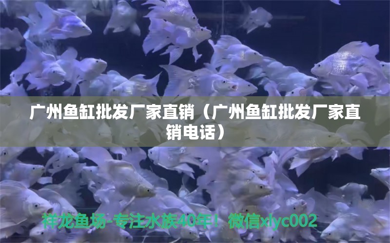 廣州魚缸批發(fā)廠家直銷（廣州魚缸批發(fā)廠家直銷電話）