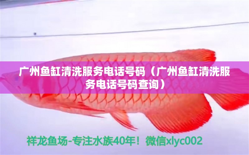 廣州魚缸清洗服務(wù)電話號碼（廣州魚缸清洗服務(wù)電話號碼查詢） 其他品牌魚缸