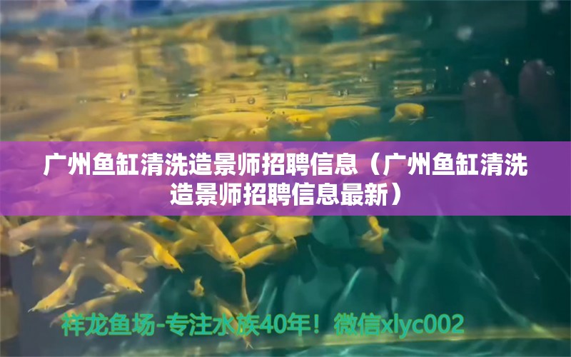 廣州魚(yú)缸清洗造景師招聘信息（廣州魚(yú)缸清洗造景師招聘信息最新） 祥龍水族醫(yī)院