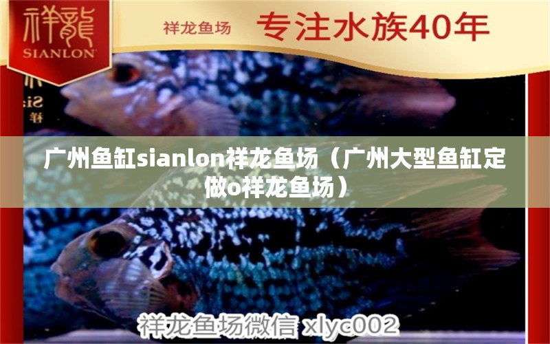 廣州魚缸sianlon祥龍魚場（廣州大型魚缸定做o祥龍魚場） 祥龍魚場