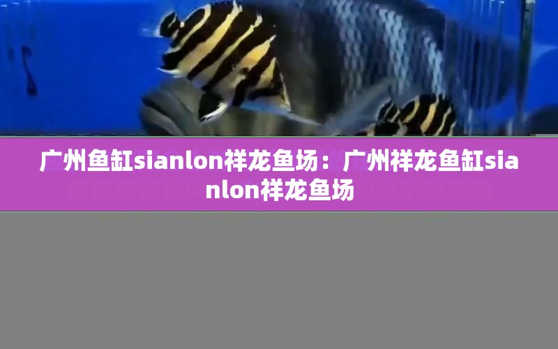 廣州魚缸sianlon祥龍魚場(chǎng)：廣州祥龍魚缸sianlon祥龍魚場(chǎng) 水族問答