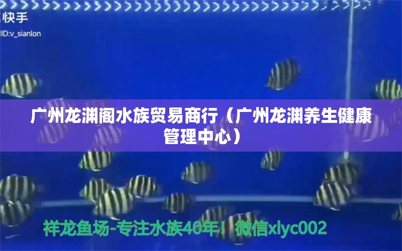 廣州龍淵閣水族貿(mào)易商行（廣州龍淵養(yǎng)生健康管理中心） 全國水族館企業(yè)名錄