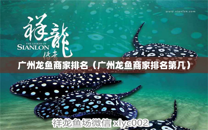 廣州龍魚商家排名（廣州龍魚商家排名第幾）