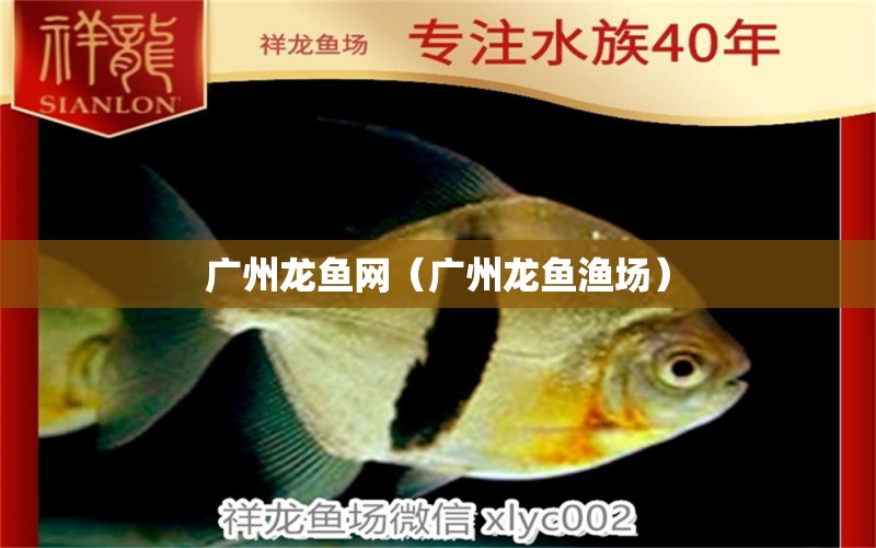 廣州龍魚網(wǎng)（廣州龍魚漁場）