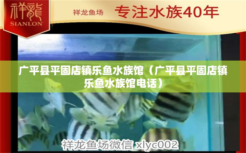 廣平縣平固店鎮(zhèn)樂魚水族館（廣平縣平固店鎮(zhèn)樂魚水族館電話）