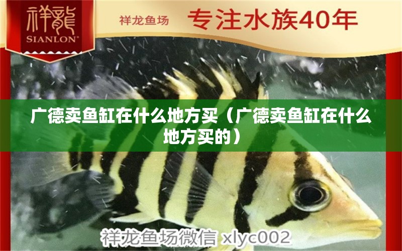 廣德賣(mài)魚(yú)缸在什么地方買(mǎi)（廣德賣(mài)魚(yú)缸在什么地方買(mǎi)的） 祥龍水族醫(yī)院