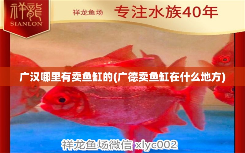 廣漢哪里有賣魚缸的(廣德賣魚缸在什么地方)