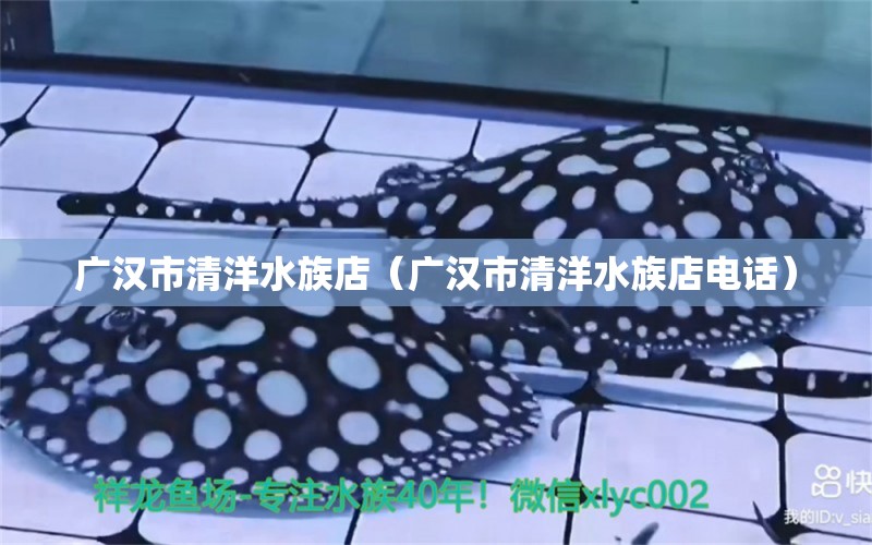 廣漢市清洋水族店（廣漢市清洋水族店電話）