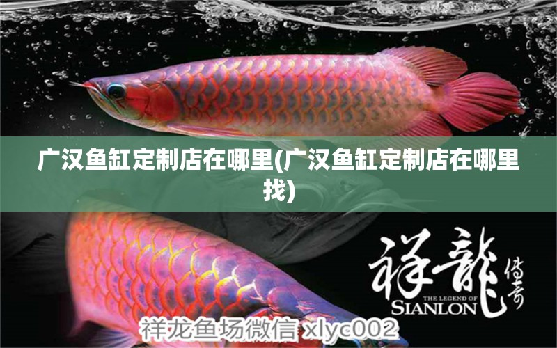 廣漢魚(yú)缸定制店在哪里(廣漢魚(yú)缸定制店在哪里找) 黑白雙星魚(yú)