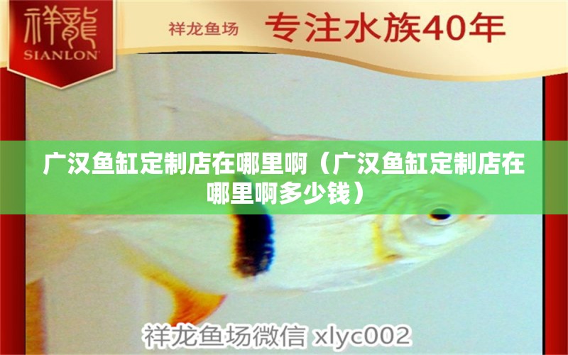 廣漢魚缸定制店在哪里?。◤V漢魚缸定制店在哪里啊多少錢） 黃金斑馬魚