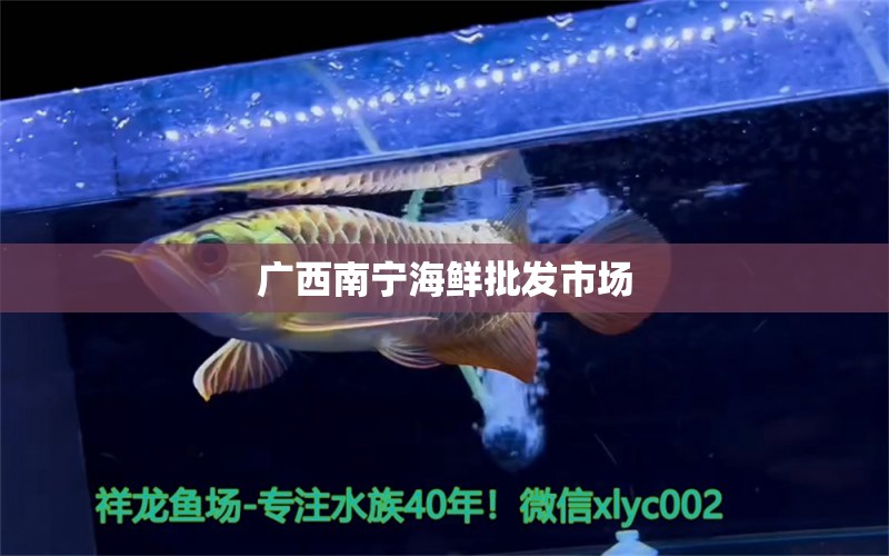 廣西南寧海鮮批發(fā)市場(chǎng) 養(yǎng)魚知識(shí)