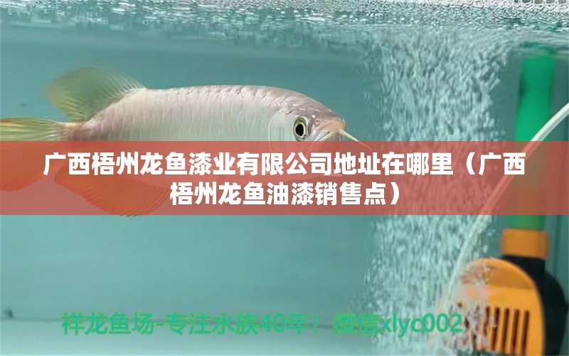 廣西梧州龍魚漆業(yè)有限公司地址在哪里（廣西梧州龍魚油漆銷售點） 錦鯉魚