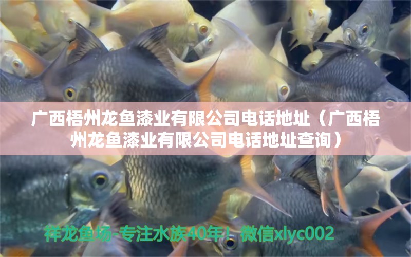 廣西梧州龍魚漆業(yè)有限公司電話地址（廣西梧州龍魚漆業(yè)有限公司電話地址查詢） 觀賞魚市場(chǎng)（混養(yǎng)魚） 第2張