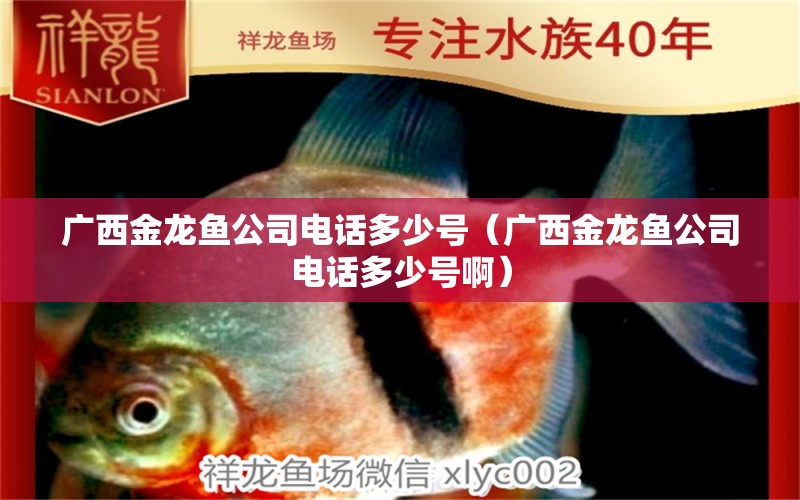 廣西金龍魚公司電話多少號(hào)（廣西金龍魚公司電話多少號(hào)?。? title=