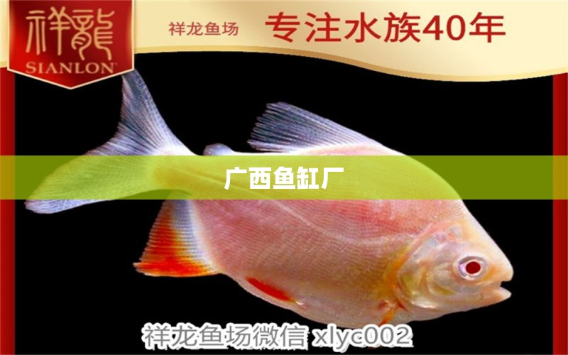 廣西魚缸廠 其他品牌魚缸