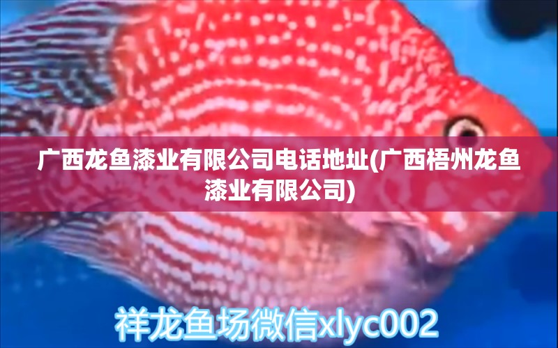 廣西龍魚漆業(yè)有限公司電話地址(廣西梧州龍魚漆業(yè)有限公司)