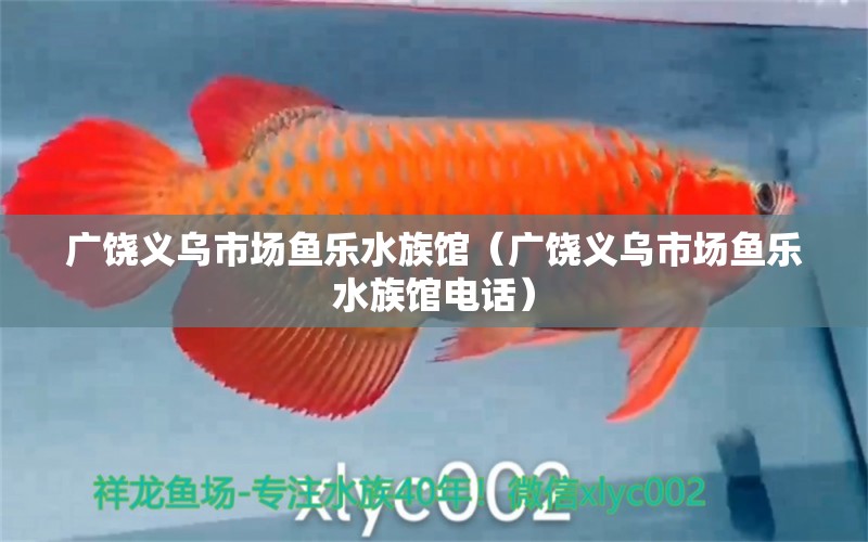 廣饒義烏市場(chǎng)魚(yú)樂(lè)水族館（廣饒義烏市場(chǎng)魚(yú)樂(lè)水族館電話）