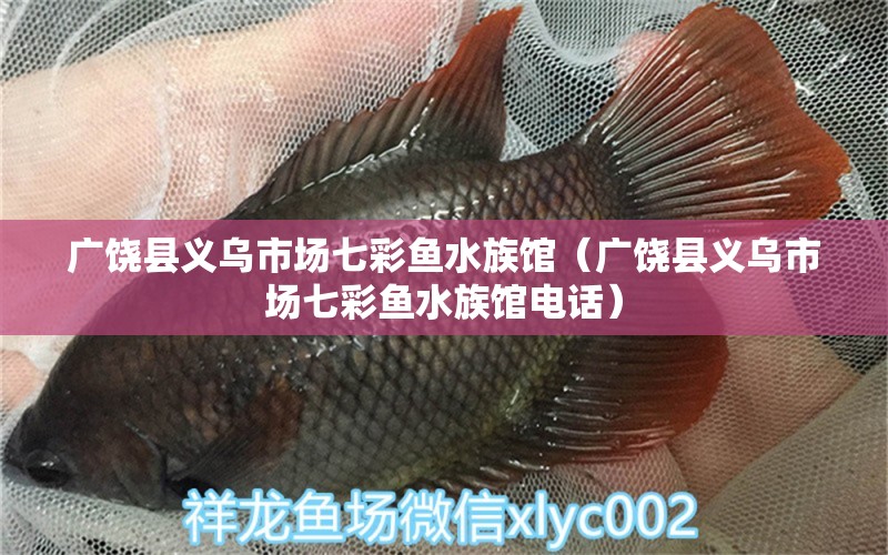 廣饒縣義烏市場(chǎng)七彩魚(yú)水族館（廣饒縣義烏市場(chǎng)七彩魚(yú)水族館電話）