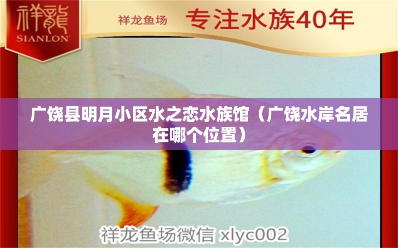 廣饒縣明月小區(qū)水之戀水族館（廣饒水岸名居在哪個(gè)位置）