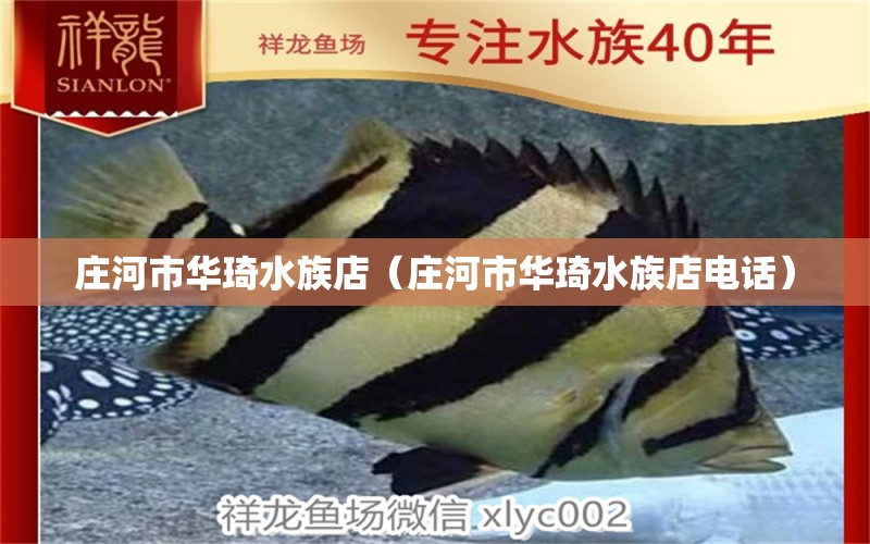 莊河市華琦水族店（莊河市華琦水族店電話） 全國水族館企業(yè)名錄