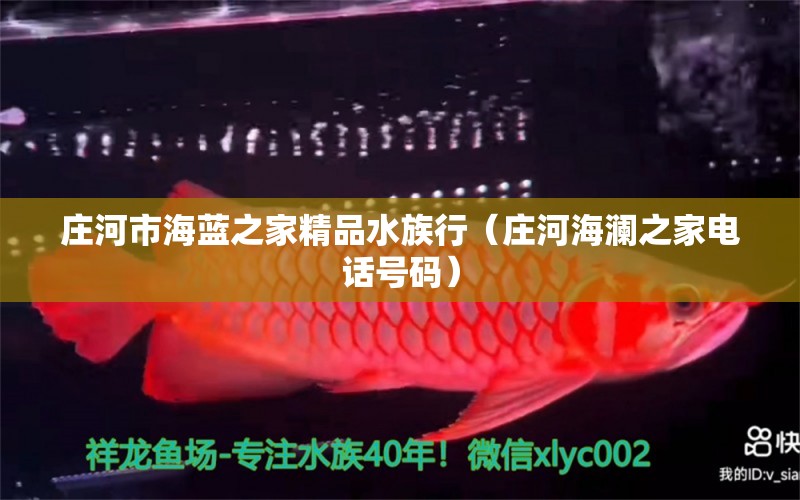 莊河市海藍(lán)之家精品水族行（莊河海瀾之家電話號碼） 全國水族館企業(yè)名錄