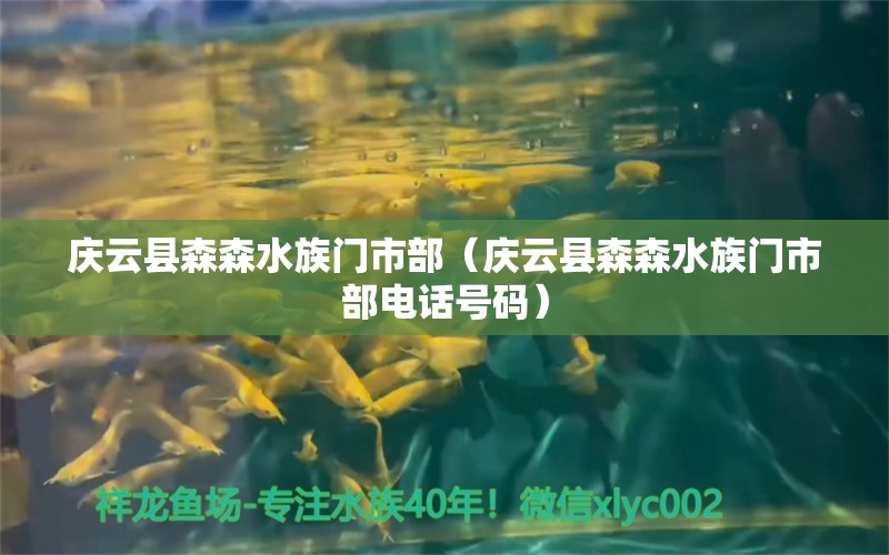 慶云縣森森水族門市部（慶云縣森森水族門市部電話號(hào)碼）