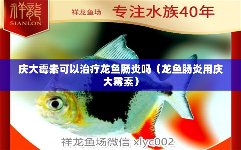 慶大霉素可以治療龍魚腸炎嗎（龍魚腸炎用慶大霉素）