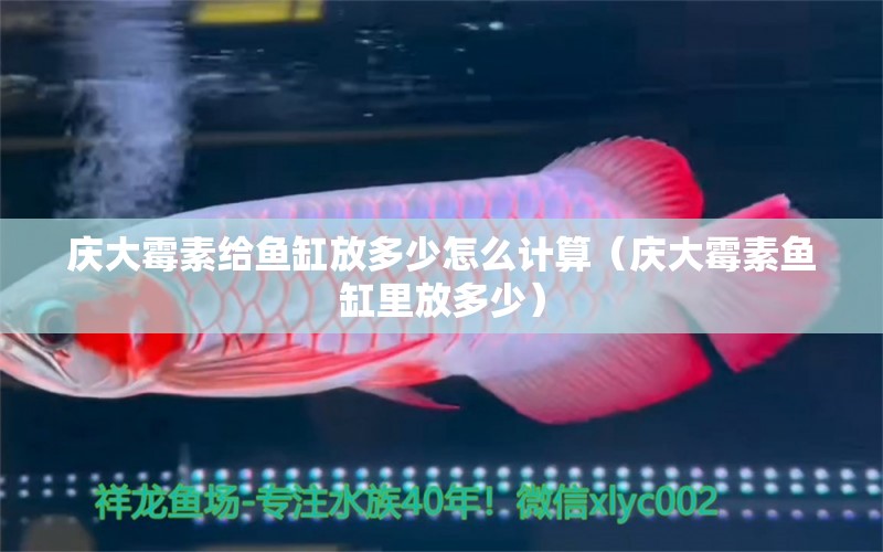 慶大霉素給魚缸放多少怎么計(jì)算（慶大霉素魚缸里放多少）