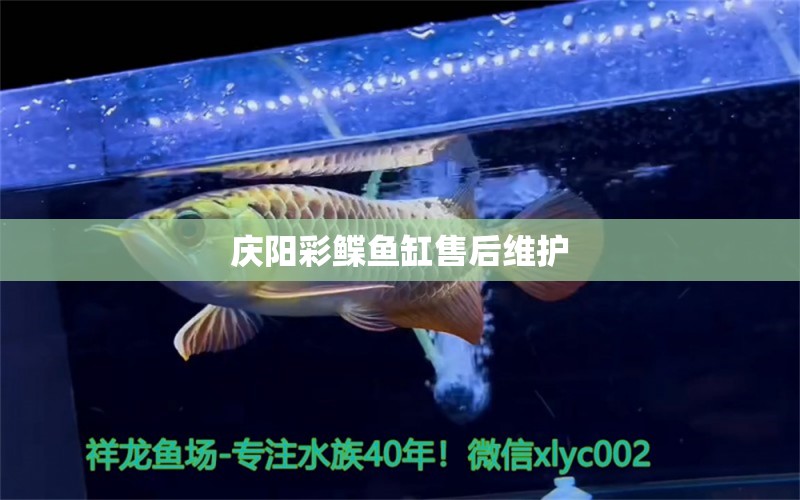 慶陽(yáng)彩鰈魚(yú)缸售后維護(hù) 彩鰈魚(yú)缸（彩蝶魚(yú)缸）