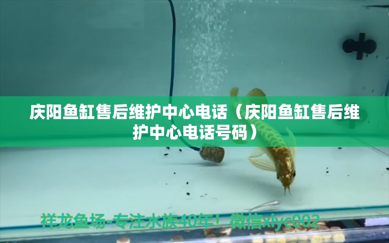 慶陽魚缸售后維護(hù)中心電話（慶陽魚缸售后維護(hù)中心電話號碼）