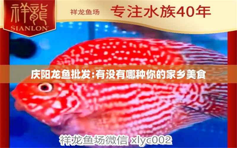 慶陽龍魚批發(fā):有沒有哪種你的家鄉(xiāng)美食 龍魚批發(fā)