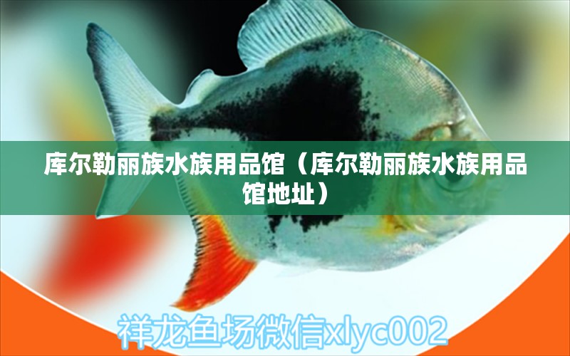 庫爾勒麗族水族用品館（庫爾勒麗族水族用品館地址） 水族用品