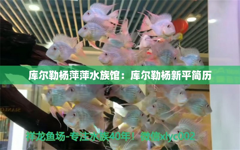 庫爾勒楊萍萍水族館：庫爾勒楊新平簡歷