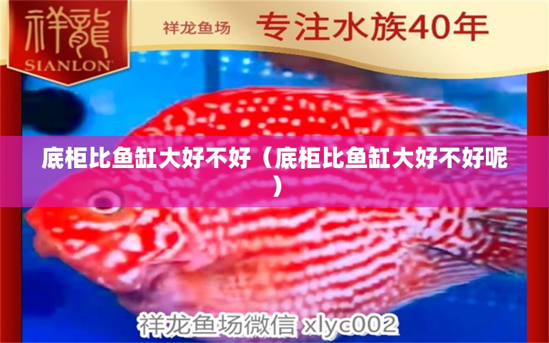 底柜比魚(yú)缸大好不好（底柜比魚(yú)缸大好不好呢）